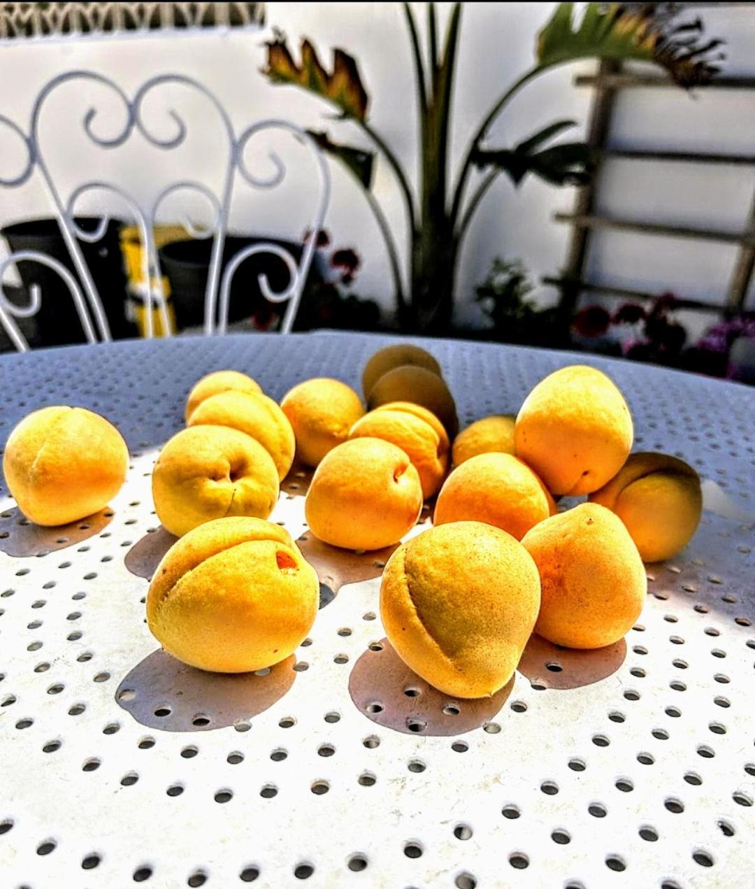 Apartament Casa Dei Frutti Di Ostuni Zewnętrze zdjęcie